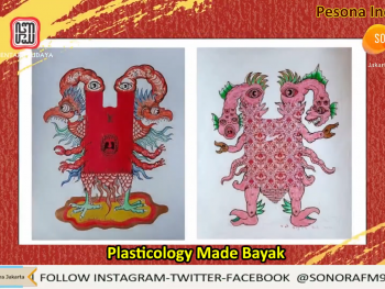 Plasticology Made Bayak