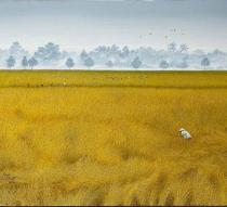 Dari Seniman Untuk Sumatera